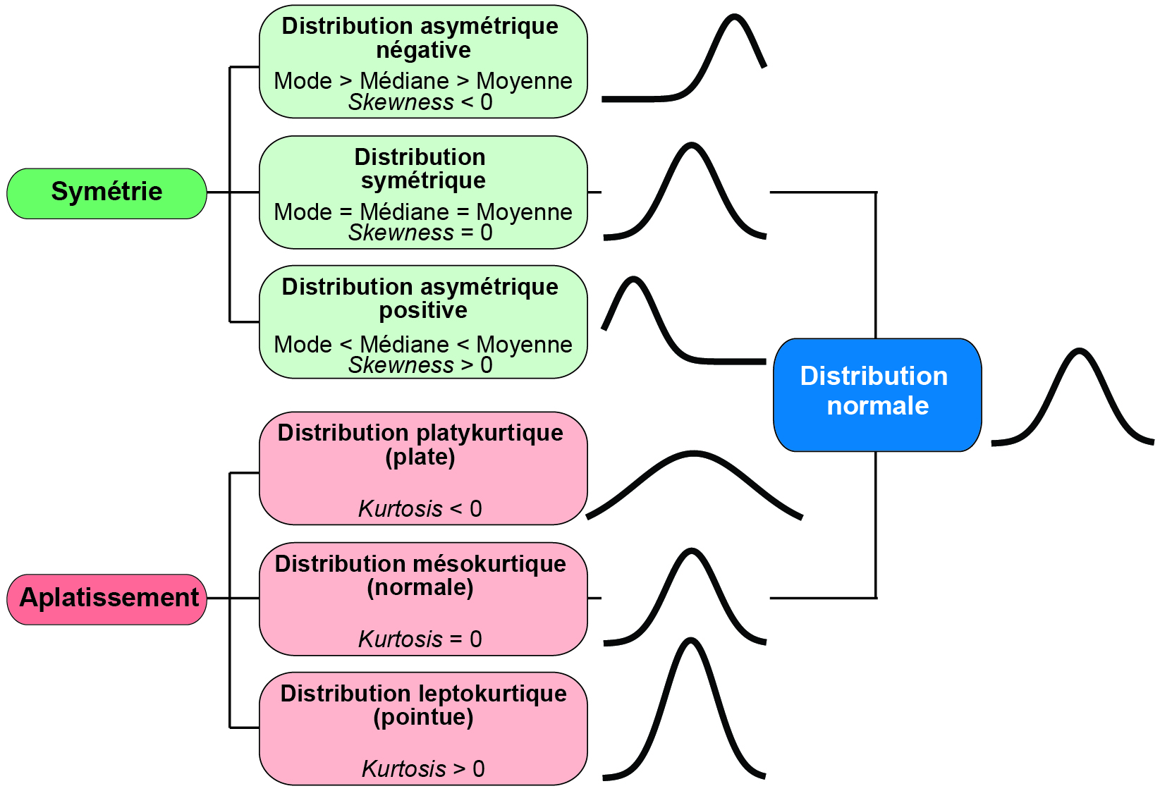 Formes d'une distribution et coefficients d'asymétrie et d'aplatissement